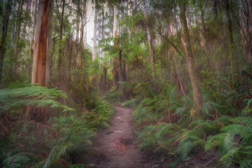 Obraz premium path in the lush forest