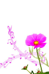 五線譜　音楽　音符　ト音記号　ミュージック　譜面