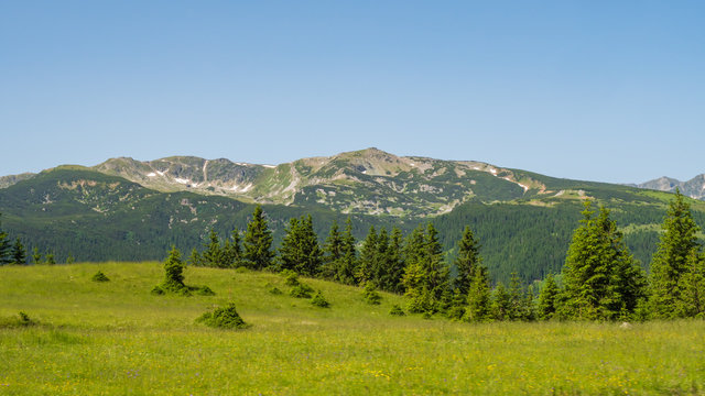 Bergpanorama Transalpina