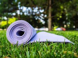 Mat for yoga or fitness. Purple rug on green grass in the shade of a tree
