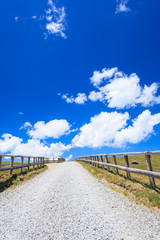 Fototapeta premium 初夏の美ヶ原高原の散策路と青空と雲 長野県松本市