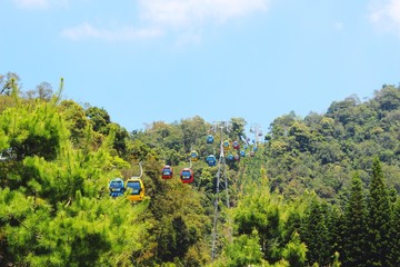 landscape with cablecar and trees