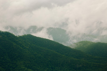 Rainforest mountains on cloudy days.