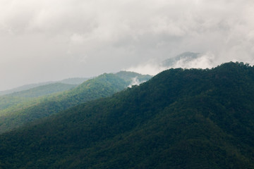 Rainforest mountains on cloudy days.