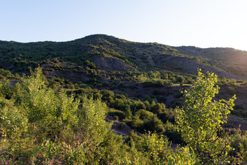 Obraz premium Mountain range covered with green forest in the morning