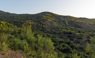 Fototapeta premium Mountain range covered with green forest in the morning