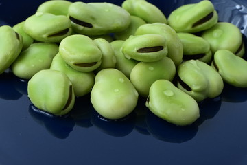 そら豆　背景濃い青色