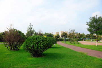 City park scenery