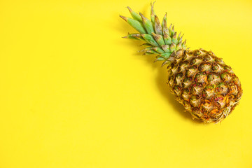 Ripe pineapple on the yellow background  完熟のパイナップルと黄色背景