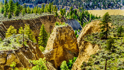 Fototapeta premium Sandstone erosion created a few Hoodoos along the Fraser River and Highway 12 between the towns of Lillooet and Lytton in the interior region of British Columbia, Canada