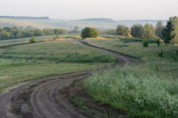 winding road in a field in the early summer morning