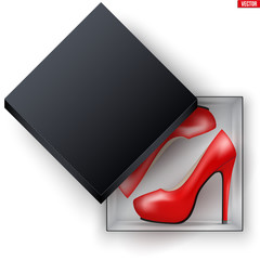 Blank of Open Black Box with Female Shoes