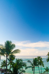 Meerblick mit Palmen in Oahu, Hawaii © Yohsuke