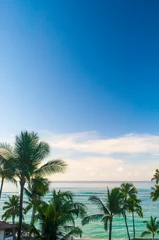 Meerblick mit Palmen in Oahu, Hawaii © Yohsuke
