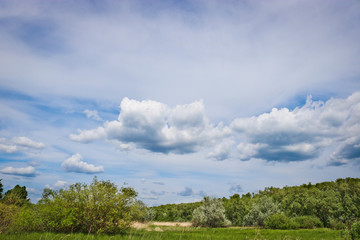 Summer landscape - Cumulus and Cirrus in the blue sky above coastal deciduous forests
