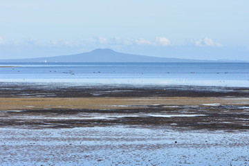 View of volcano island Rangitoto in Auckland from shallow flat bay at low tide with flats of sea grass where sea birds feed on shellfish and other invertebrates.