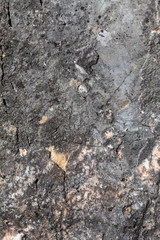 Old Weathered Natural Stone Texture