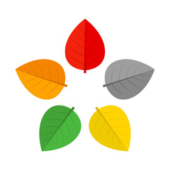 Colorful leaves. Star shaped foliage. Vector icon.