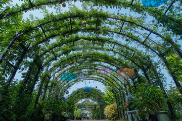 Naklejka premium 晴れの日の傘