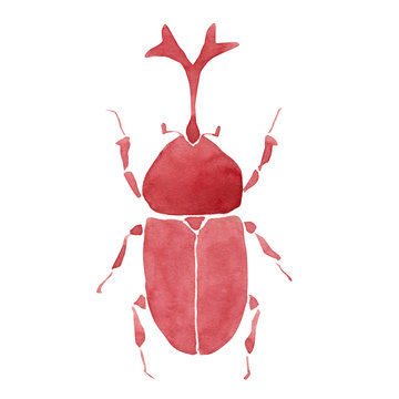 2 449 Best カブトムシ Images Stock Photos Vectors Adobe Stock
