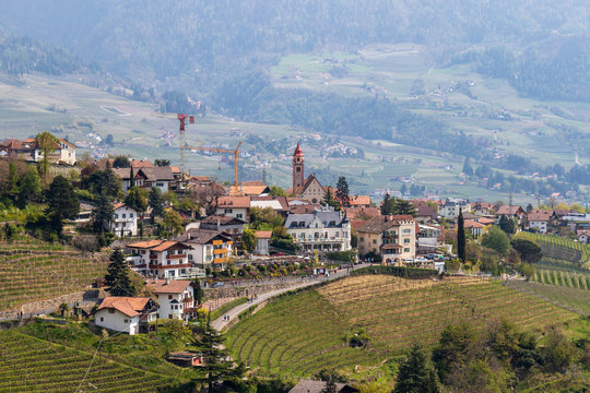 Detail view on Village Tyrol, Dorf Tirol im Meraner Land, with wine plantations and Alps in background. Province Bolzano, South Tyrol, Italy. Europe.
