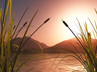 3D landscape with reeds against sunset mountains