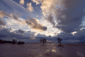 Fototapeta na wymiar rainy clouds over an open area of low tide.
