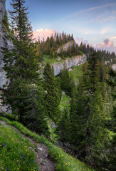 Mountain with rocks and forest - Ohniste, Low Tatras