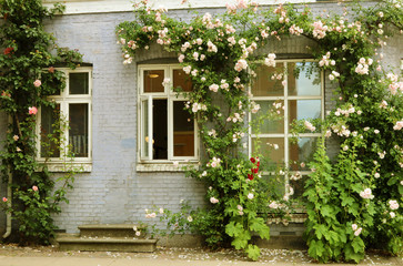 Fototapeta na wymiar Street, Copenhagen, Denmark. Facade old, painted, colorful house.