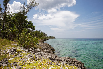 Coral beaches and turquoise water on the wild noon coast of Cuba, Bay of Pigs, Playa Giron