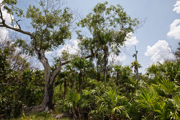 Coral beaches and turquoise water on the wild noon coast of Cuba, Bay of Pigs, Playa Giron