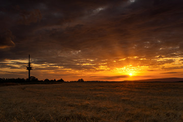 Fototapeta na wymiar Sonnenuntergang über Getreidefeld