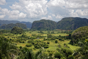 Fototapeta na wymiar Vinales, Cuba - July 27, 2018: Green caribbean valley with small cuban houses and mogotes hills landscape panorama, Vinales, Pinar Del Rio, Cuba