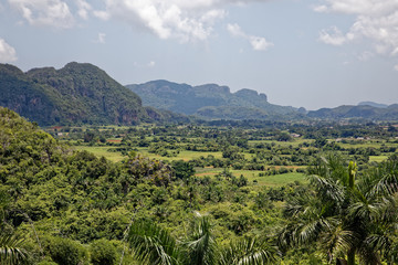 Vinales, Cuba - July 27, 2018: Green caribbean valley with small cuban houses and mogotes hills landscape panorama, Vinales, Pinar Del Rio, Cuba