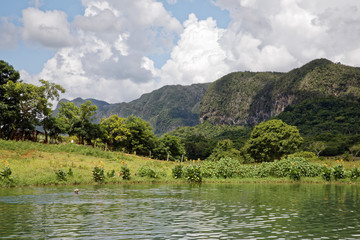 Vinales, Cuba - July 28, 2018: Vinales Valley National Park with tobacco farms, fields, plantations, hills, cows, beautiful Cuban nature and tropical vegetation in Vinales