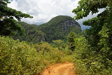 Vinales, Cuba - July 28, 2018: Beautiful Cuban nature and tropical vegetation in Vinales