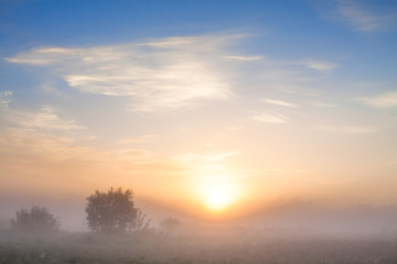 Obraz na płótnie Canvas summer landscape with sunrise and fog
