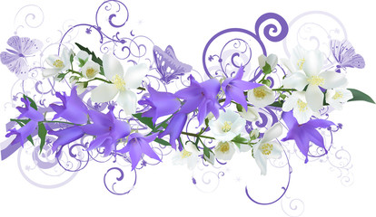 decoration with bluebell and jasmine flowers isolated on white