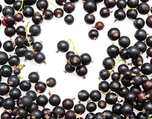 black currant berries on a white background