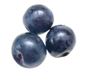 fresh blueberries on white background