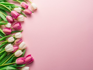 White and pink tulips on lightpink background.