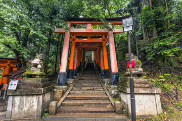 Kyoto - May 28, 2019: Torii gates of the Fushimi Inari Shinto shrine in Kyoto, Japan