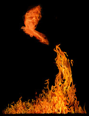 small bird flying from high orange flame