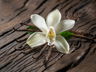 Dried vanilla sticks and vanilla orchid on wooden table.