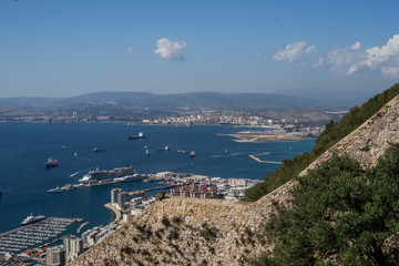Fototapeta premium Gibraltar port