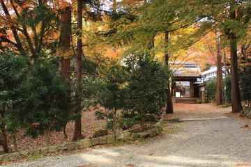 滋賀県米原市の青岸寺の山門と紅葉の景色