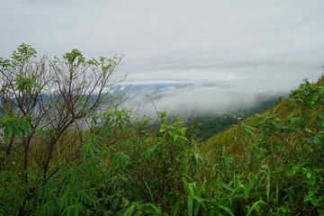Fototapeta premium lake in forest