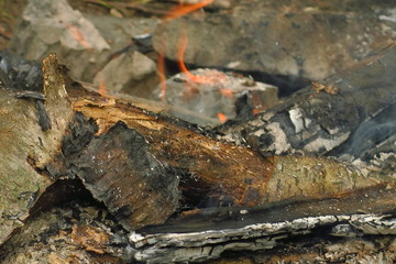 Burning wood in the fire, divorced by tourists