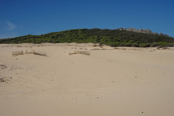 Beach in Tarifa
