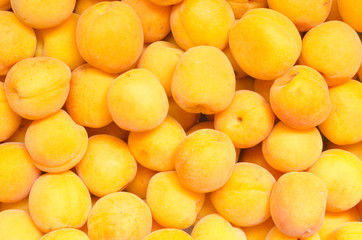 Ripe and delicious apricots background - 277313068